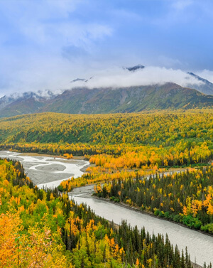 Carlson Law Employment Law Carlson Law Employment Law