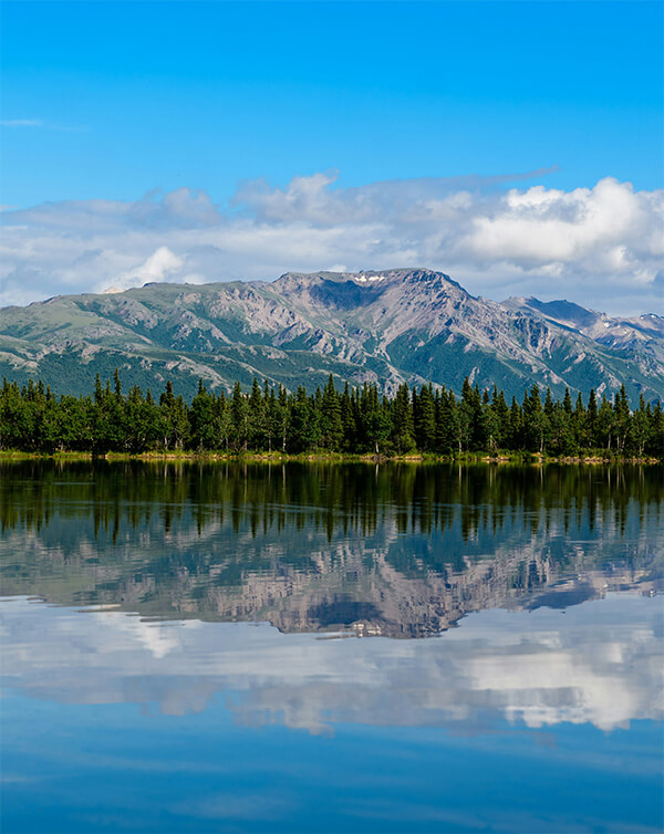 Carlson Law Personal Injury